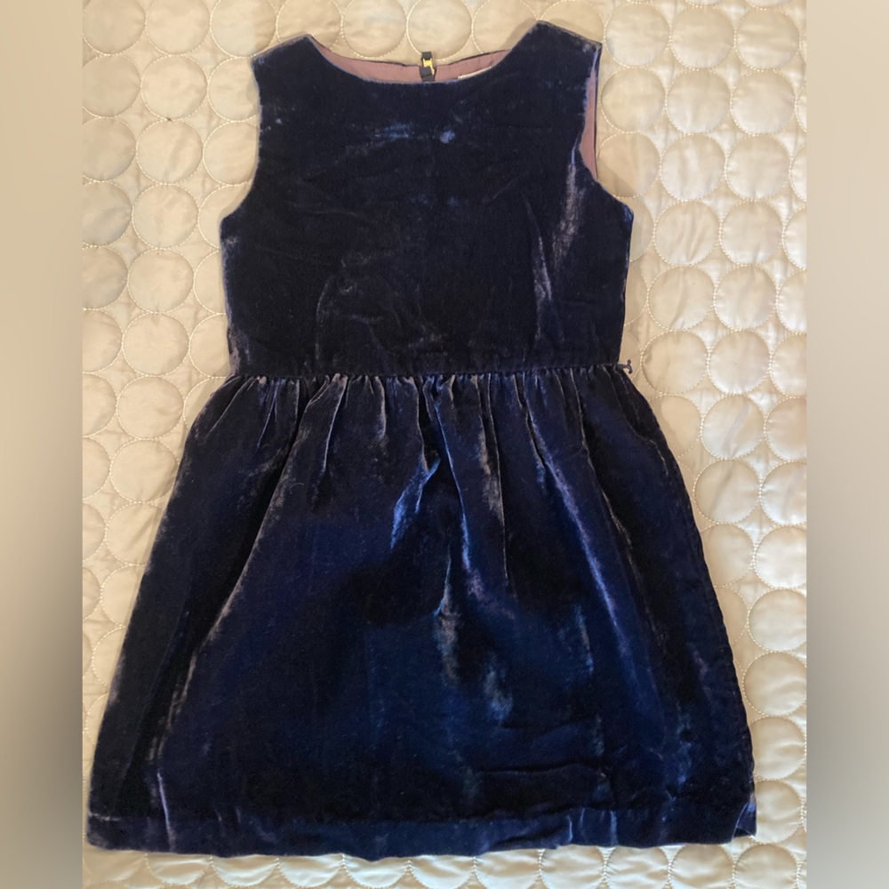 Crewcuts velvet dress